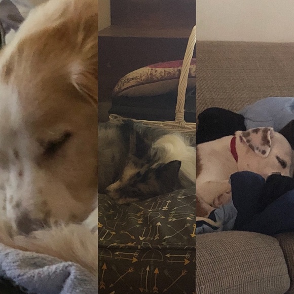 Meet your Posher, Megan - Picture 4 of 6